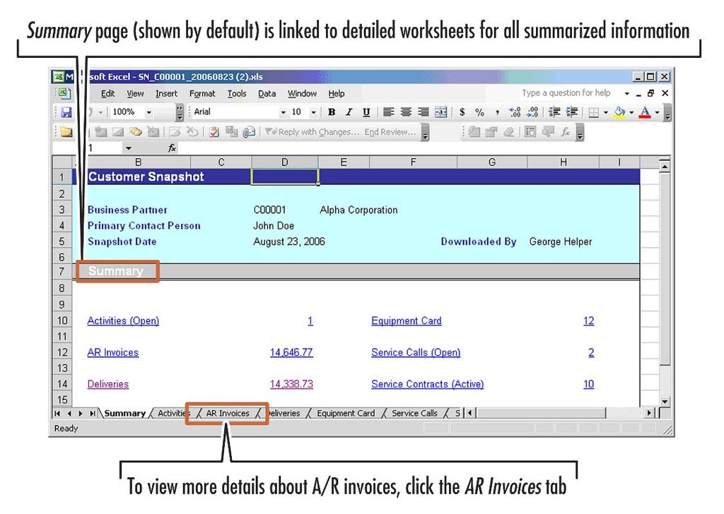 Figure 8-12: A customer snapshot opened in Microsoft Excel The snapshot includes a summary page (shown by default) that is linked to detailed worksheets for all the summarized information.