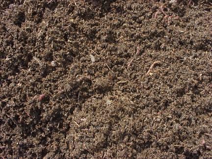 Statewide Comprehensive Compost Market Assessment Data collected from: 276 landscape firms 311 nurseries 437 farmers Full report