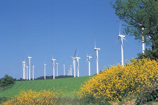 E X E C U T I V E S U M M A R Y The expected continuing decrease of wind power generation costs (reduction of 20% for onshore and 40% offshore by 2020 as compared to 2003 levels) is an important