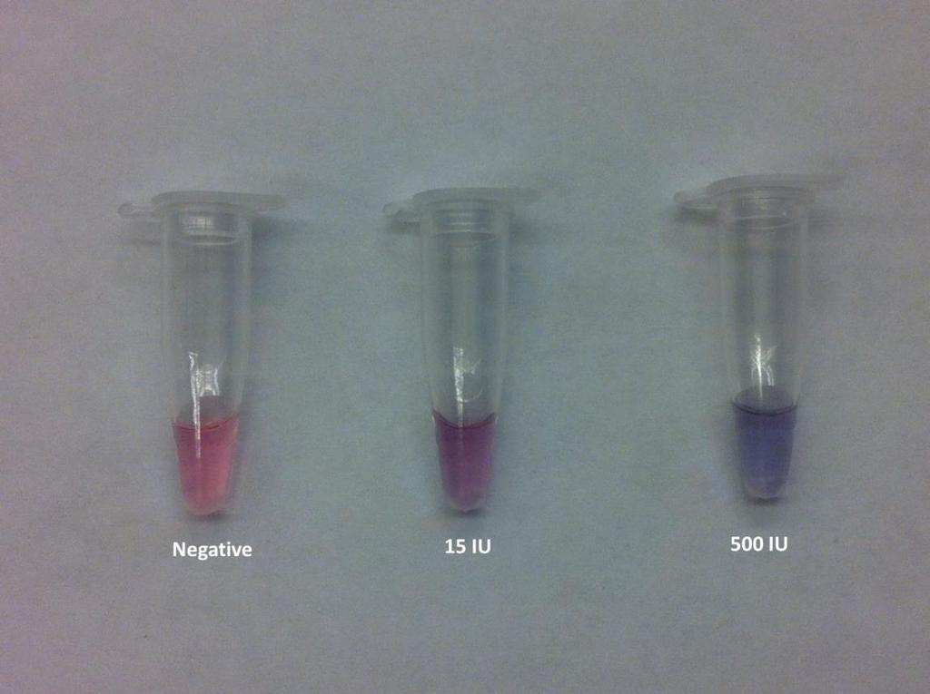Detection of Unamplified HCV RNA in Serum Using A Novel Two Metallic Nanoparticle Platform Figure 4. Detection of HCV RNA extracted from serum using the developed two metallic nanoparticles assay.