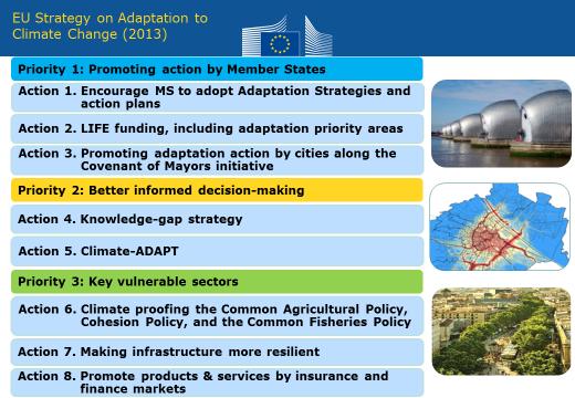 EU climate change adaptation strategy evaluation by the European Commission Increase in number of MS with a national adaptation strategy and/or action plan (see below) Mainstreaming in many relevant