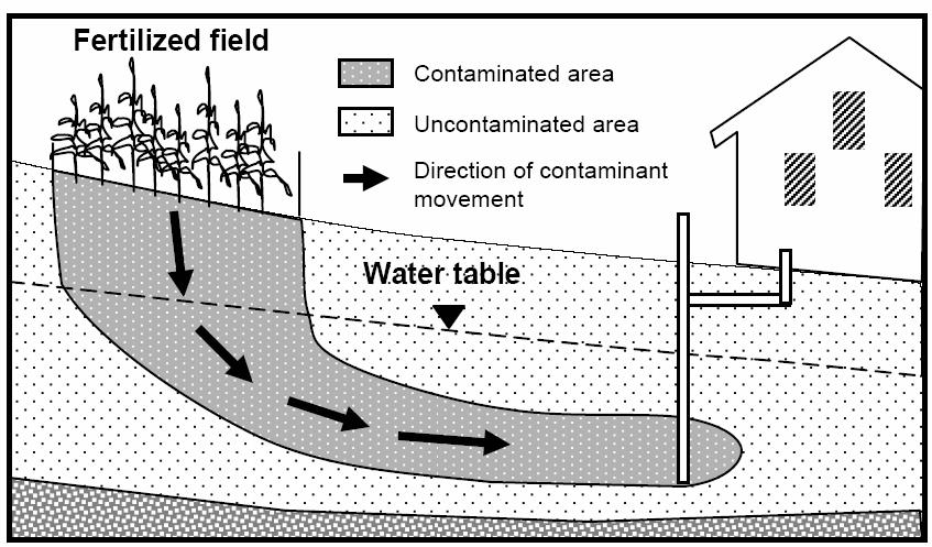 Figure 7 Casing plays an important role in determining which area of the aquifer a well draws water from. A well that pumps continuously often will often lower the water table surrounding the well.