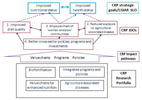 Overview and status of A4NH work on Theories of Change (August 22, 2014) 1 In early 2013, the CRP on Agriculture for Nutrition and Health (A4NH) began developing its results framework following