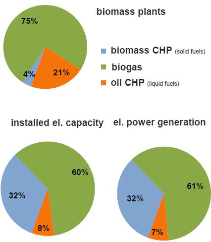 Bioenergy Power Generation 2010: 60 % Biogas Bioenergy power plants (2010) 7 550 bioenergy plants 3.8 GW installed capacity 25.