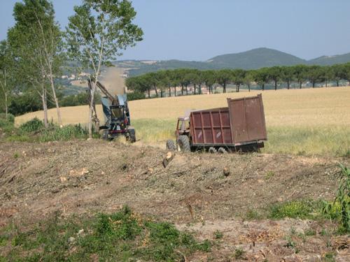 Figure 3: Santa Luce (PI) - vegetation clear-cut and chipping of the river s Fine banks Two different chip extraction systems where used: tractors with a container on trailer and chip forwarder with