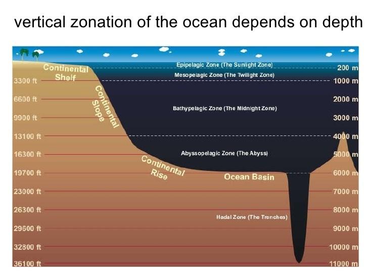 Introduction: Oceans make up 3/4 of the earth s surface and large-scale ocean circulation patterns help regulate global temperatures, shape weather and climate patterns, and cycle elements through