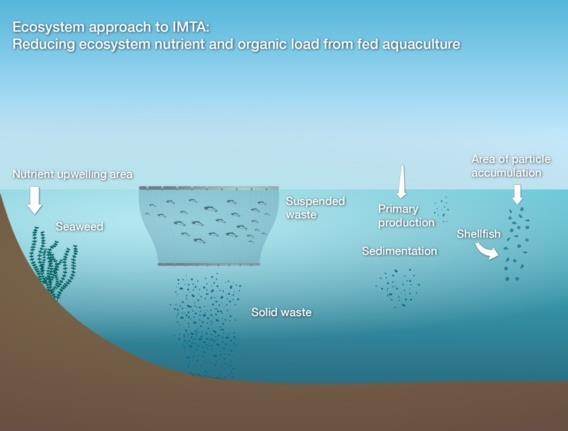 Activity 2: Integrated Multitrophic Aquaculture Combined hydrodynamic and particle tracking modelling to find suitable