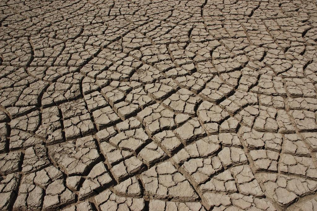 Climate vulnerability and African American farmers Vulnerability to drought is