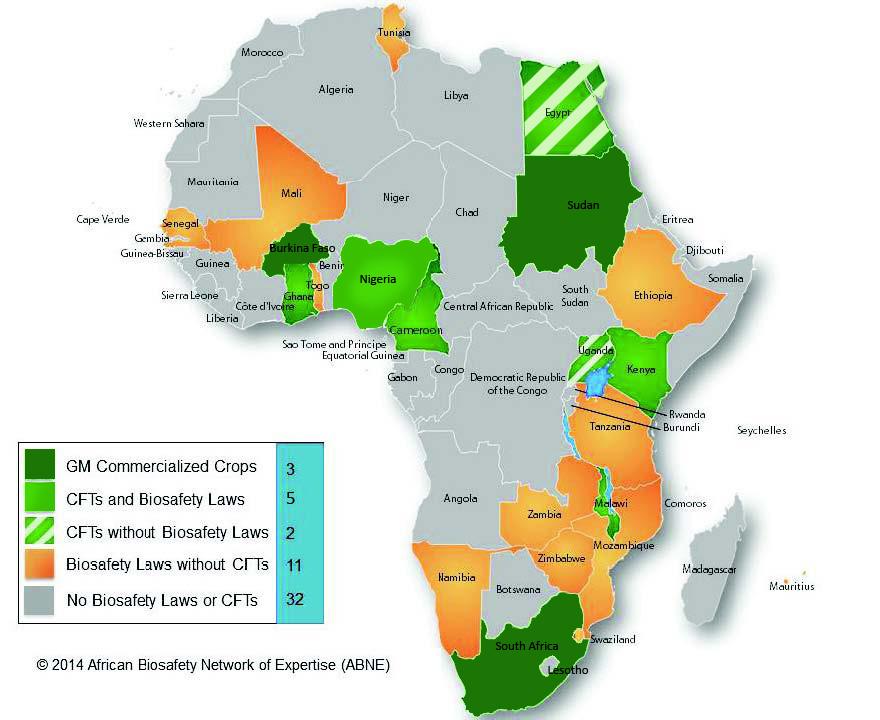 4 Africa s Global Engagements at COP/MOP Status of biosafety regulations in Africa, 2014 A cross