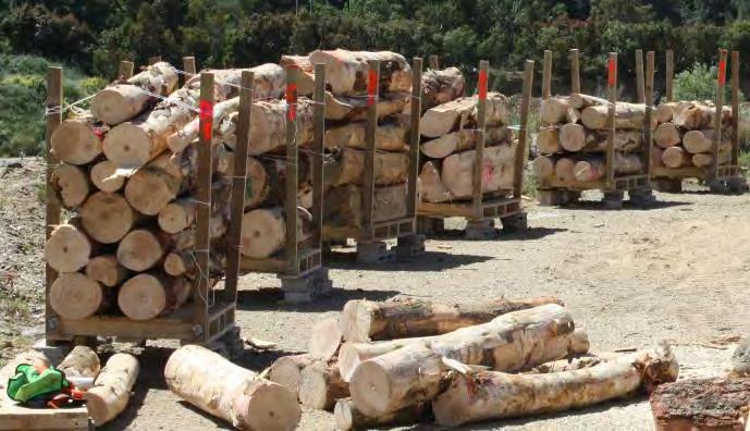 The logs were carefully stacked by the loader to a height of approximately 1.