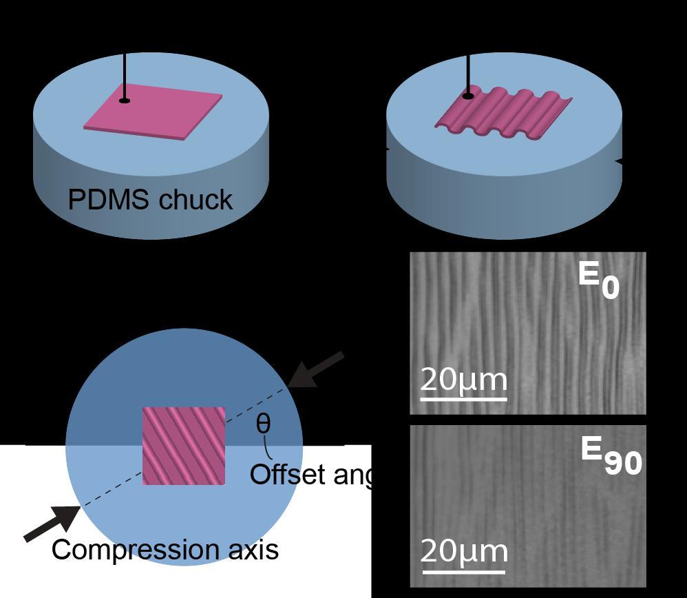 The elastic modulus of oriented P3HT films as a function of compression axis angle (θ) is accomplished by printing the strain-aligned P3HT film onto a circular PDMS chuck.
