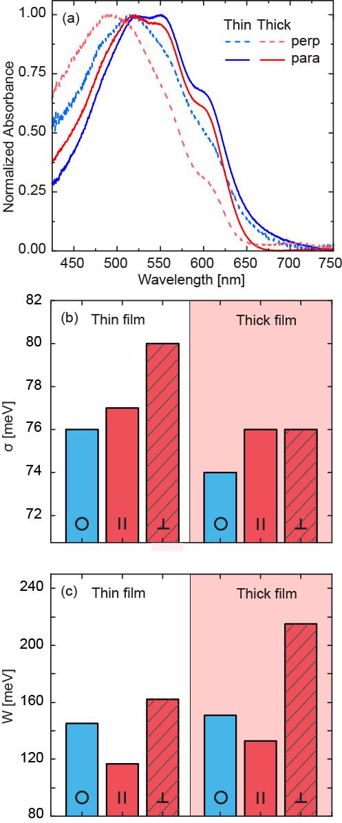 consistent with strain-aligned neat P3HT films.