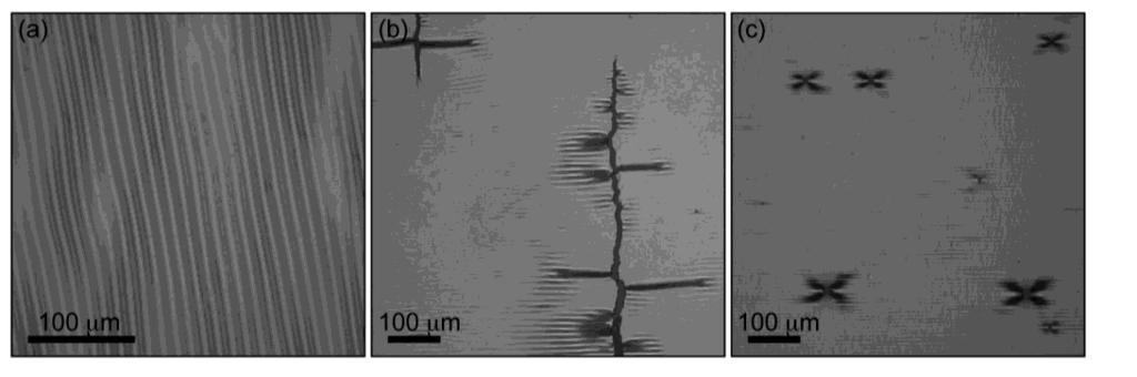 Figure 35 Optical micrographs of P3HT:PCBM blend films. (a) Typical buckling pattern for P3HT:PCBM film on PDMS under compression (film type 6).
