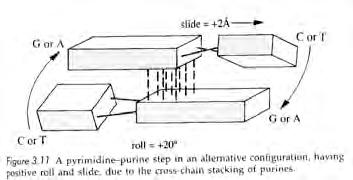 roll axes Slide Propeller twist, roll and slide No roll or propeller twist Slide = -1 Å to