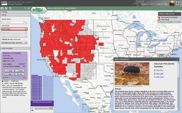 Using a GIS, the Forest Service developed pest damage databases and keeps them up to date.