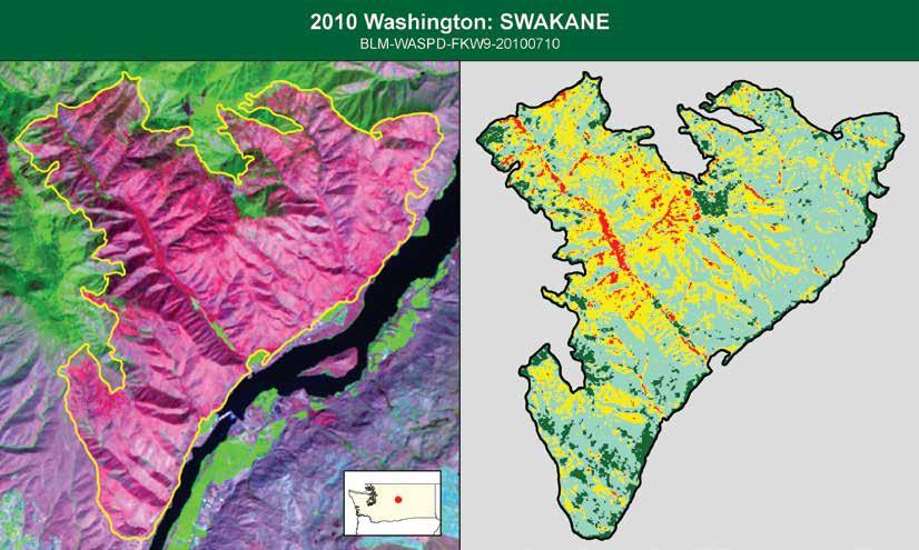 2010 Monitoring Trends in Burn Severity for Swakane, WA Fire management organizations need tools that help them