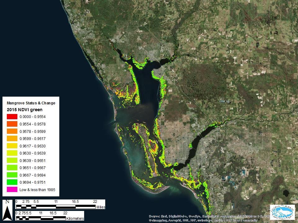 Mangrove Condition Map