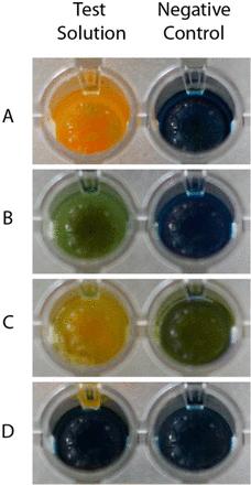 Other Enzymatic Carbapenemase Tests Blue-Carba