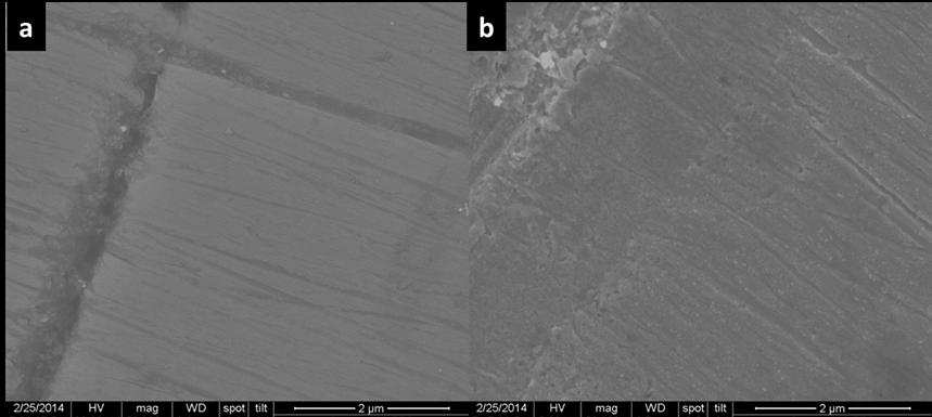 30 Figure 5: SEM images of polycrystalline CuZn