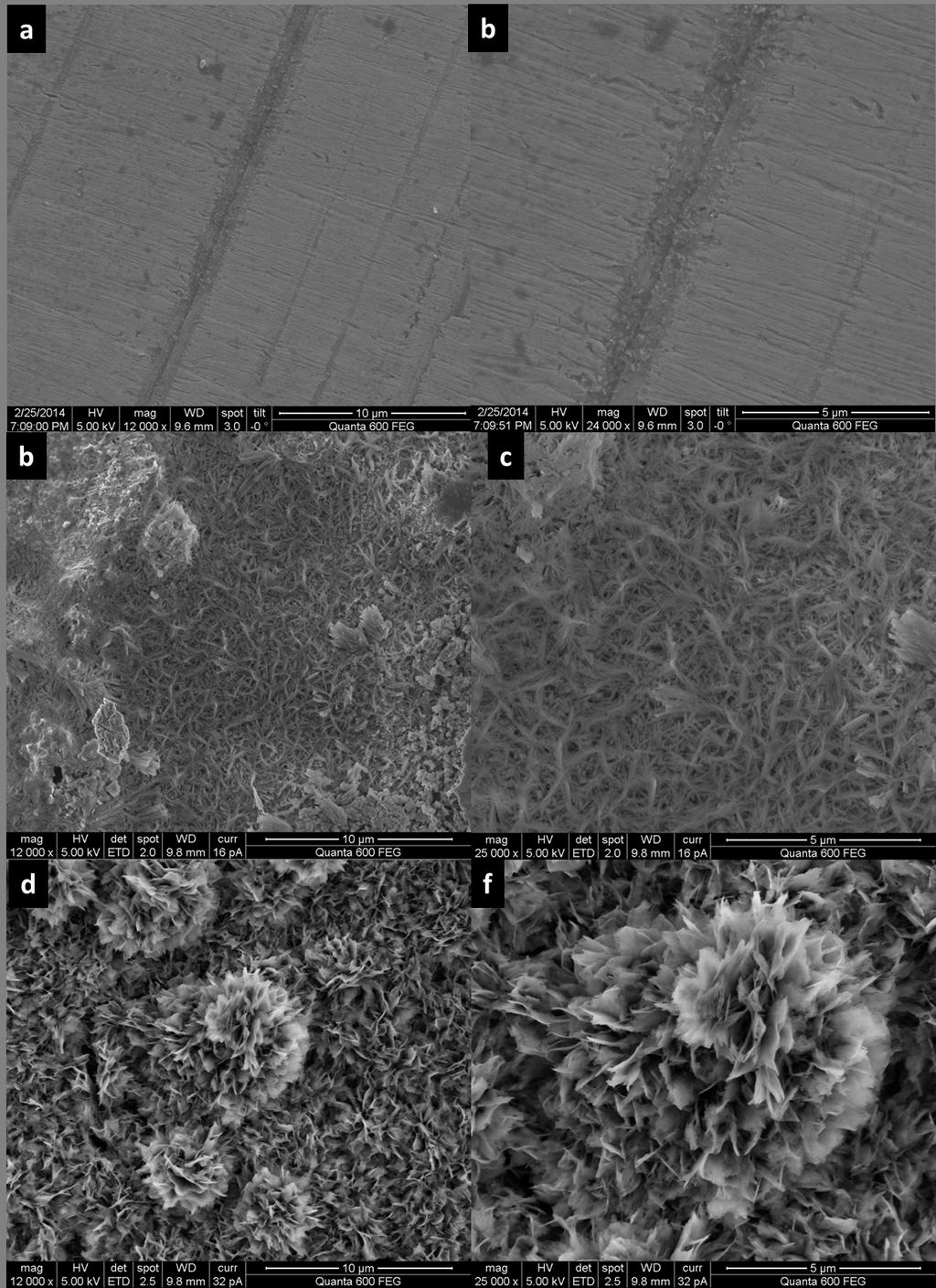 31 Figure 6: SEM images of (a) and (b), polycrystalline CuZn alloy; (c) and (d),