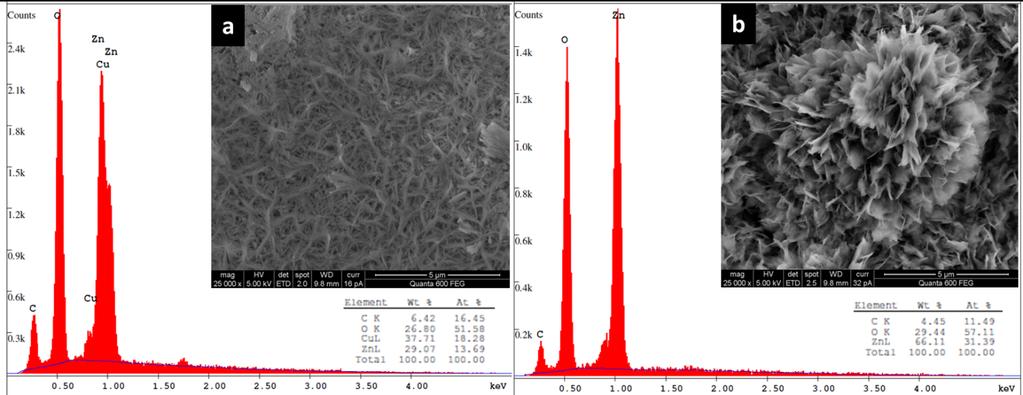 32 Figure 7: (SEM/EDS) images of (a), CuZn oxide/800 C before reduction; (b), CuZn oxide/800 C after reduction. 3.
