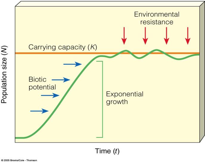 LIMITS TO POPULATION GROWTH Resources & Competition Biotic potential: capacity for growth Intrinsic rate of increase (r): rate at which a population would grow if it had unlimited resources