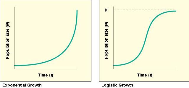 Exponential and Logistic Growth No Population Can Grow Indefinitely EXPONENTIAL GROWTH Population w/few resource limitations; grows at a fixed rate Decreased population growth rate as population size
