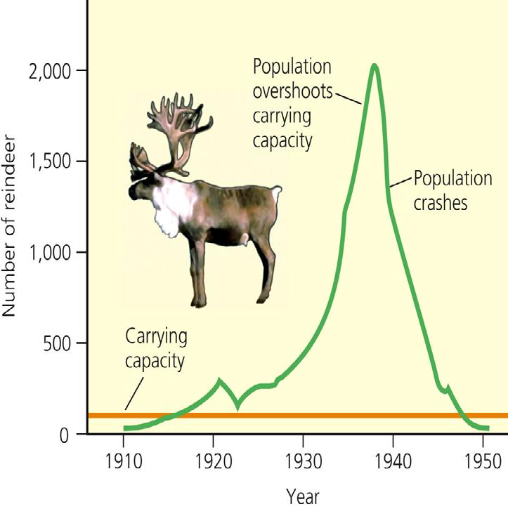 Population Crash: Exceeding a Habitat s Carrying Capacity population exceeds the area s