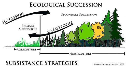 5-3 How Do Communities and Ecosystems Respond to Changing Environmental Conditions?