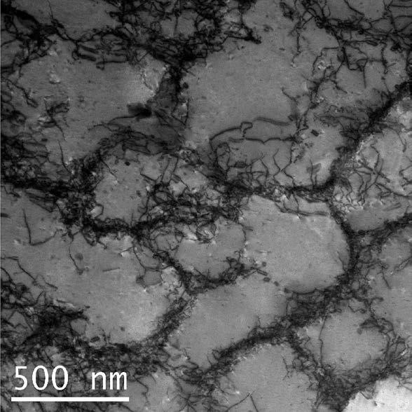 Figure 5-2. An example of the grain substructure in cold deformed copper. Image taken from Wu et al. (2014). The same phenomenon has been observed before but not recognized for what it is.