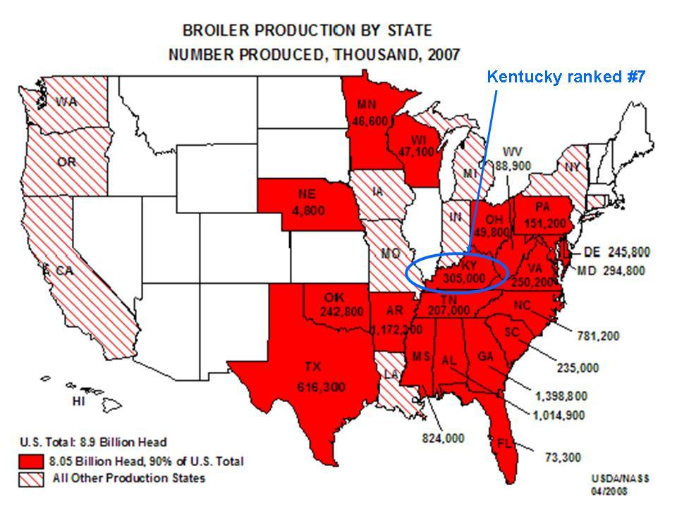 As shown in Figure 2.4, the majority of chicken meat production in the U.S. is in the southeast region. In 2007 Kentucky ranked 7 th in broiler production.