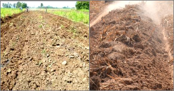 The difference between 2 systems was larger in the sandy soil field.