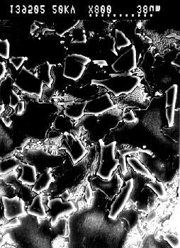 Fig 1: SEM micrograph of an AZ91/SiC p (F400) composite Fig.