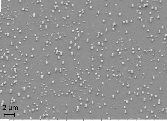 3 MnO 3 nanowires LaAlO 3 single