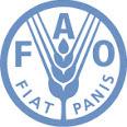 United Nations Environment Programme (UNEP) Food and Agriculture Organization of the United Nations (FAO) Review of the arrangements adopted pursuant to the Synergies