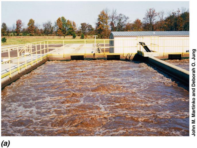Figure 35.8a Aerobic wastewater treatment processes (aeration tank) Aeration tank of an activated sludge system in a metropolitan wastewater treatment plant.