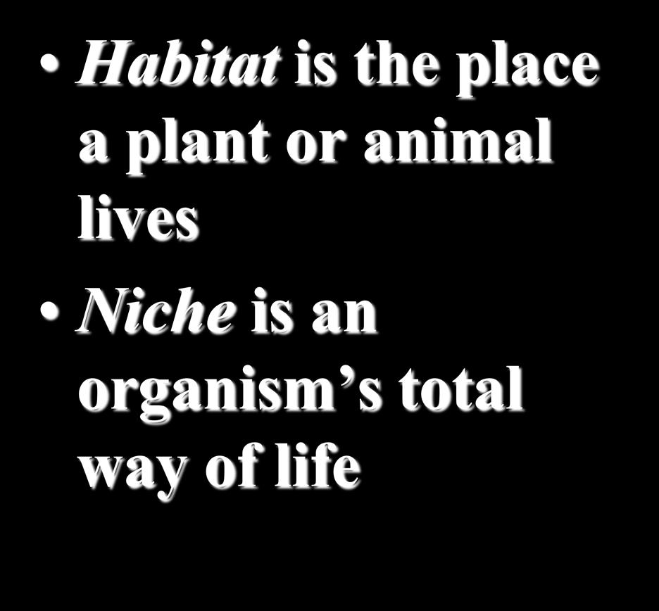 Habitat & Niche