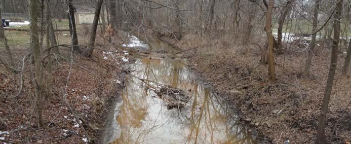 42 Example Screening Levels (SLs) are Conservative for the CSM Shallow creek in residential area; no edible-size fish Exposure scenario wading Sediment -