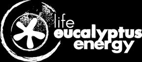 EUCALYPTUS ENERGY Project. Introduction.
