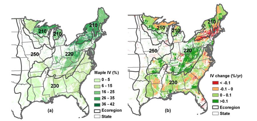 Figure 1. (a) Current abundance, as measured by importance value ([relative density + relative volume] / 2), for all maple species in the eastern U.S.