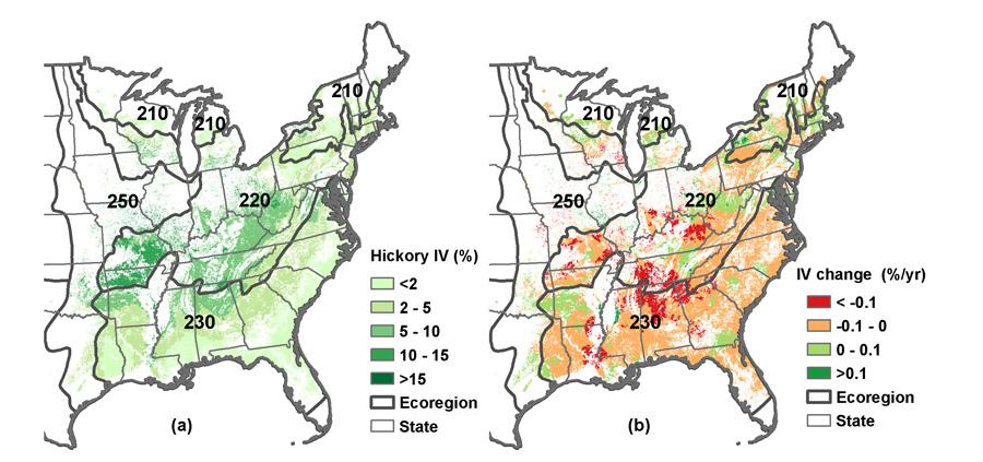 Numbers correspond to Ecoregion Divisions (Bailey 1997): 210 Northern Hardwood Region, 220 Central Hardwood Region, 230 Southern Pine-Hardwood Region, and 250 Forest- Prairie Transition Region.