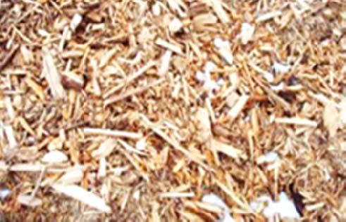 Fuel mixture for Asnaes ASV6 Forestry woodchips: Whole trees without