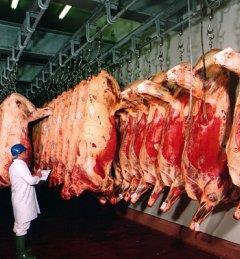 Contamination can Occur at Several Points along the Meat Supply Chain At the farm; at the