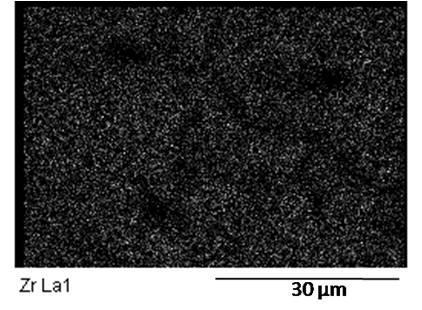 Electron image of Ti-Nb-Ta-Zr surface and element distribution maps for Ti-Nb-Ta-Zr.