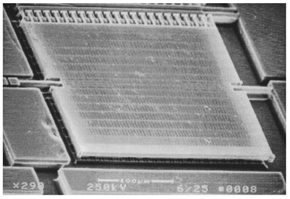 The wafer is then mechanically polished again using alumina powder. About 1 m of the silicon dioxide is removed and the top of the grid structure is planarized. See Fig. 2 d.