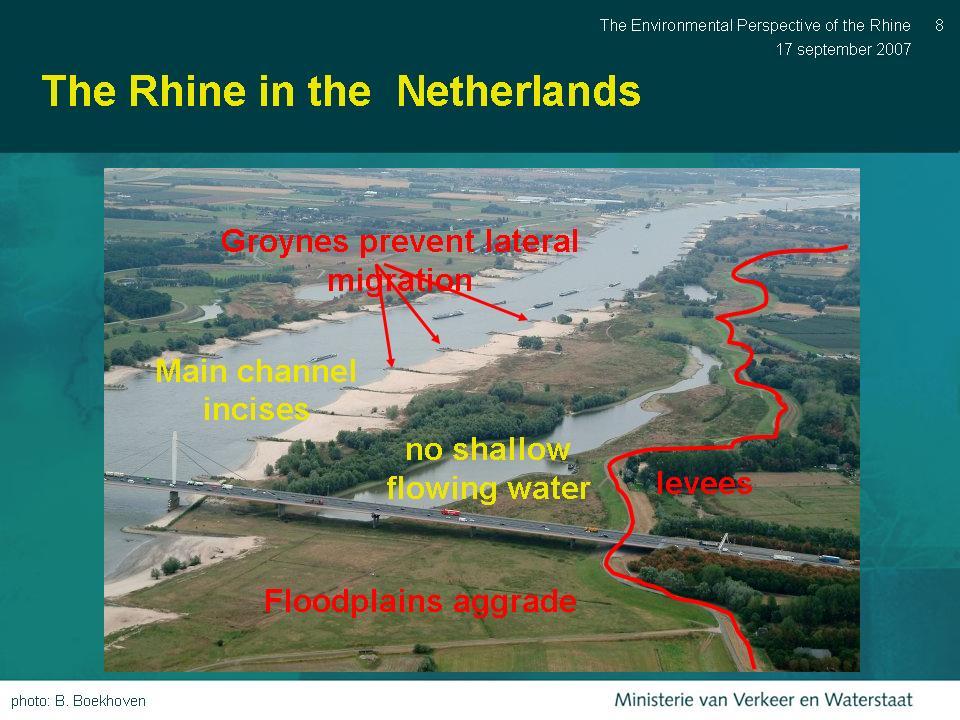 Through most of the Netherlands, the Rhine is canalized with levees for flood protection.