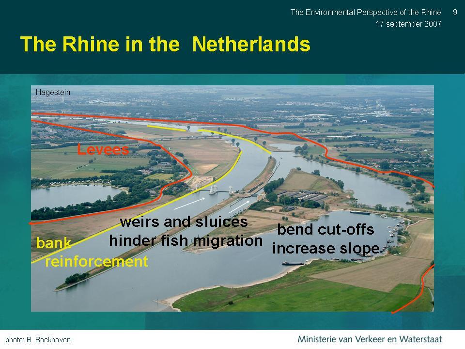Figure 7. Structural Approaches to Improve Marine Habitat Other pressures on the Rhine exist. Recently, invasive species from Eastern Europe have been observed in the Netherlands system.