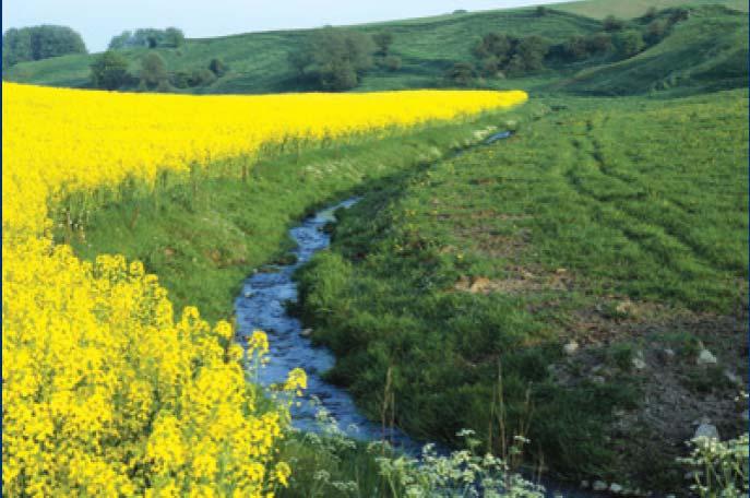 Protection of aquatic environment Compulsory 10 m buffer strips along all waterways by 2012.