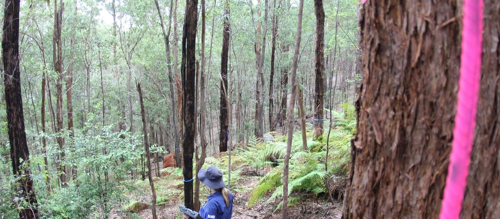 City Plan guideline Managing assessable vegetation Vegetation within the City of Gold Coast is managed through the Vegetation management code of the City Plan.