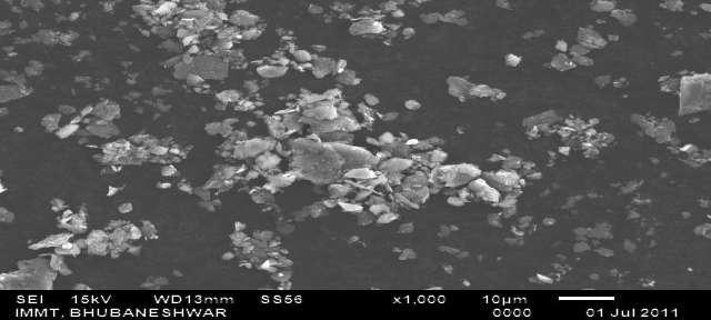 Figure 2: Scanning electron micrograph of SPL carbon powder.